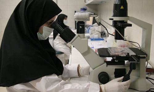 مرکز درمان ناباروری رویان تهران