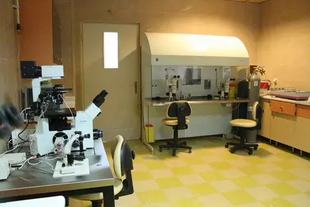 بیمارستان جامع بانوان آرش تهران