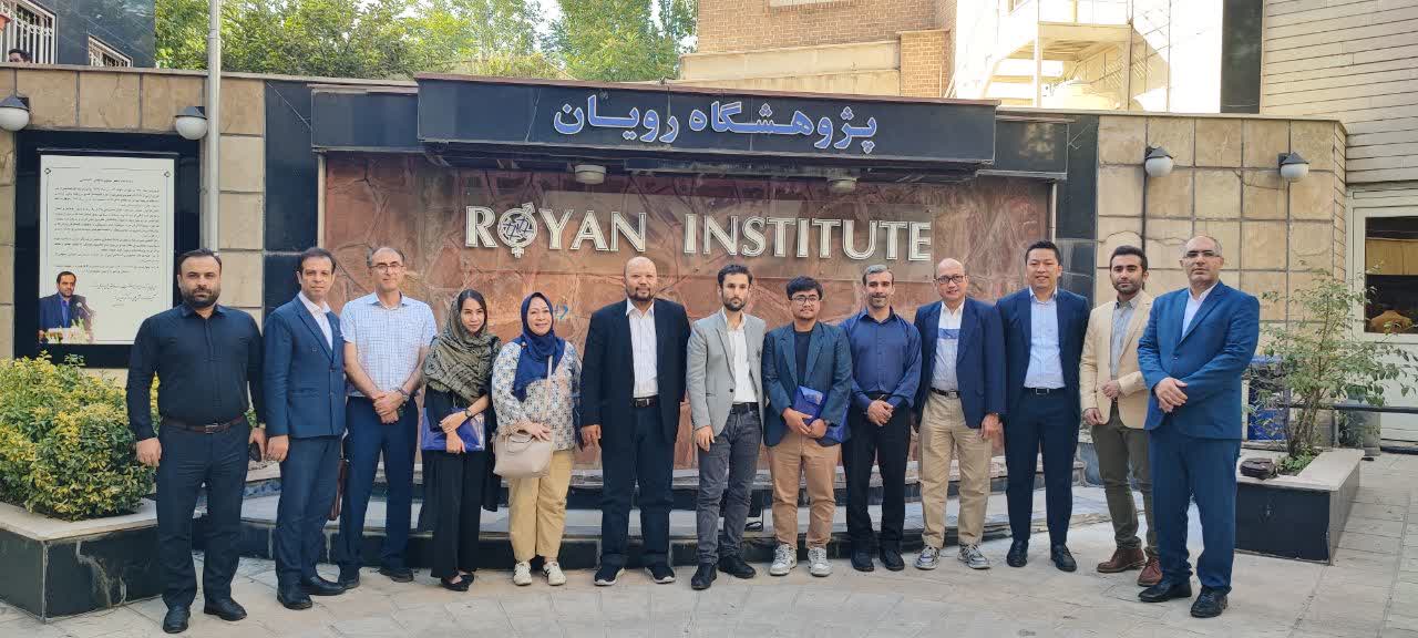 مرکز درمان ناباروری رویان تهران