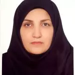ملیحه محمودی نیا
