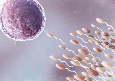 مشاوره فریز تخمک