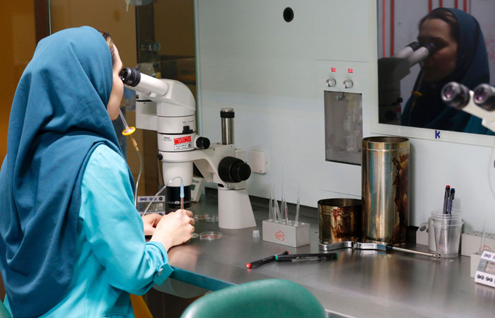 fertility treatment in iran