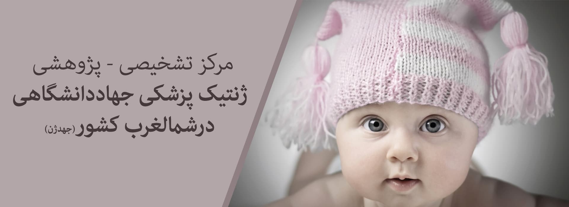 East Azerbaijan infertility treatment clinic