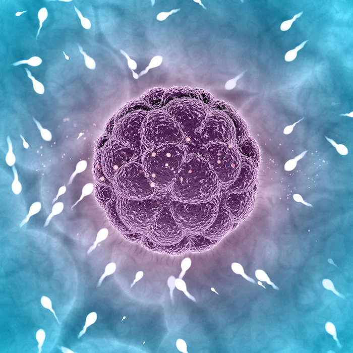 راهنمای جامع داروهای مورد استفاده در IVF