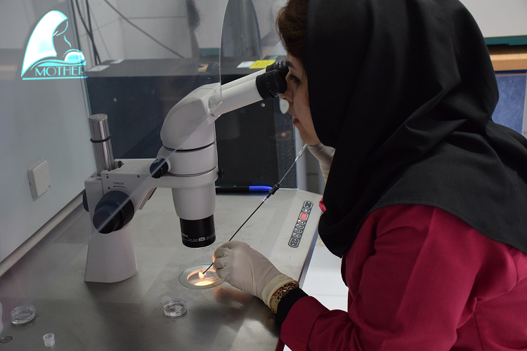 درمان ناباروری بیمارستان مادر و کودک غدیر شیراز